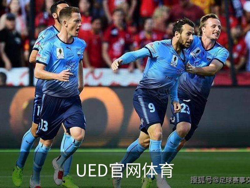 UED官网体育概况